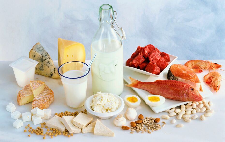 productos proteicos